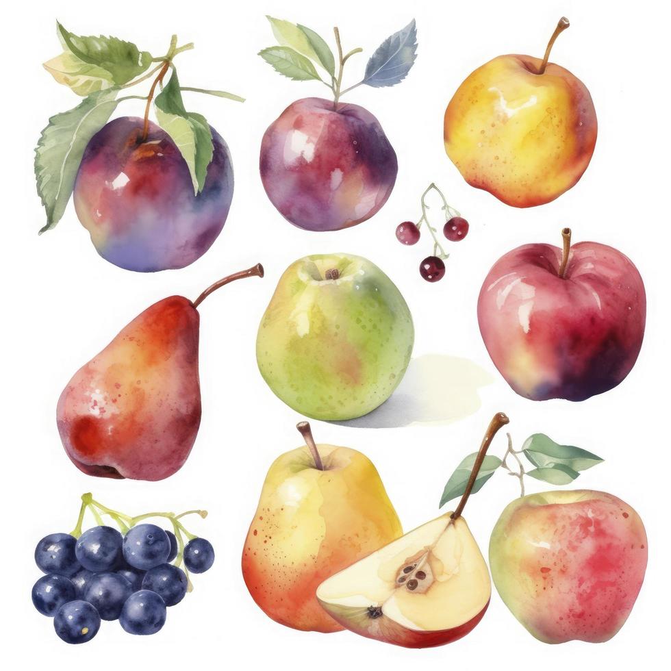 collection of pretty delicate watercolor fruits on  white background, Generate Ai photo