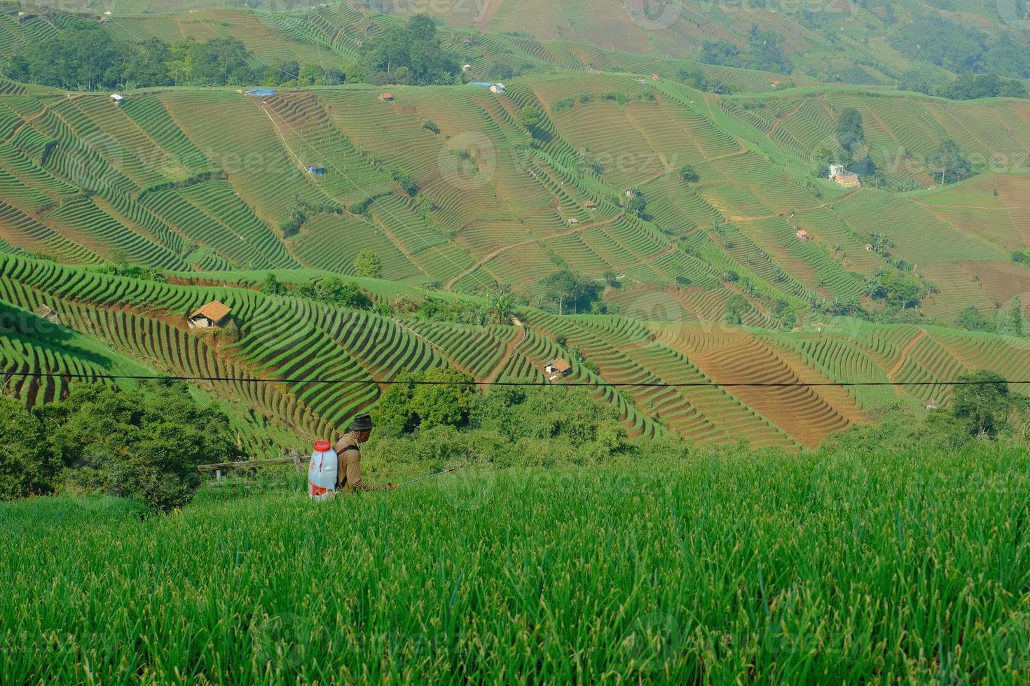 Green Revolution An Inspiring Snapshot Of Sustainable Agriculture green-revolution-an-inspiring-snapshot-of-sustainable-agriculture