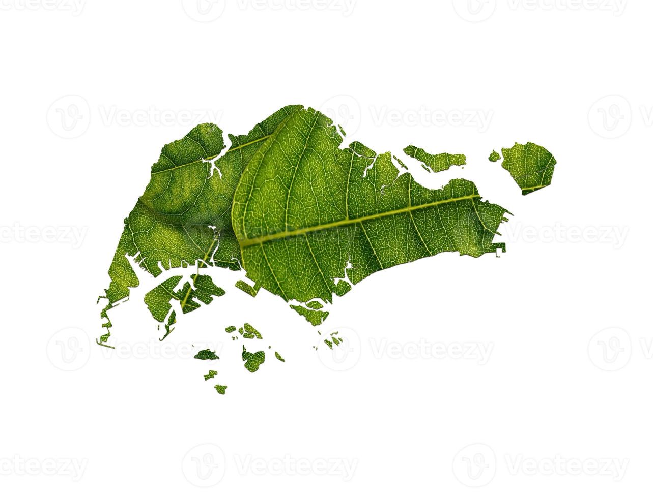 Singapore map made of green leaves on soil background ecology concept photo