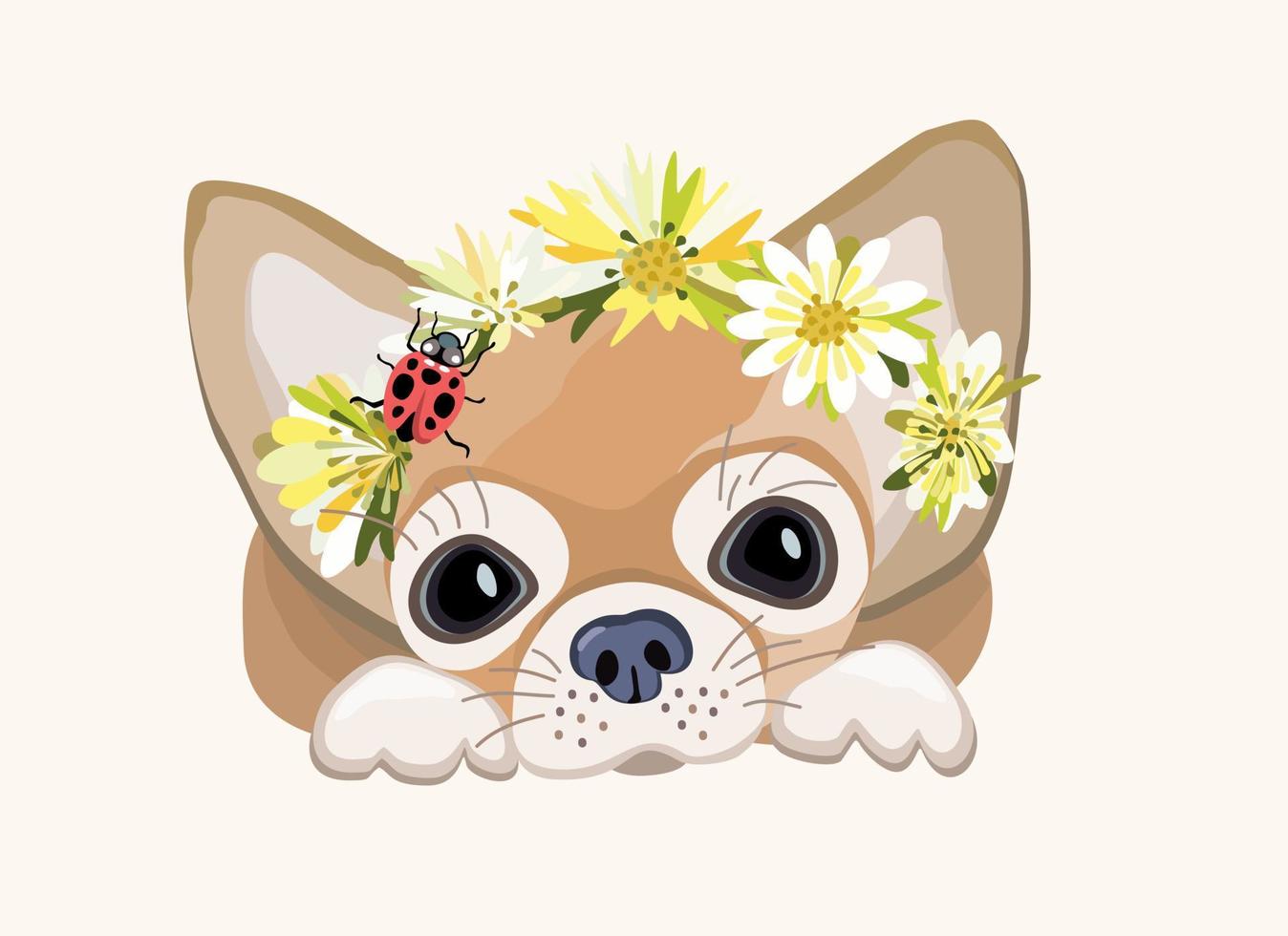 Chihuahua. Small decorative dog. Vector isolated illustration with flowers.