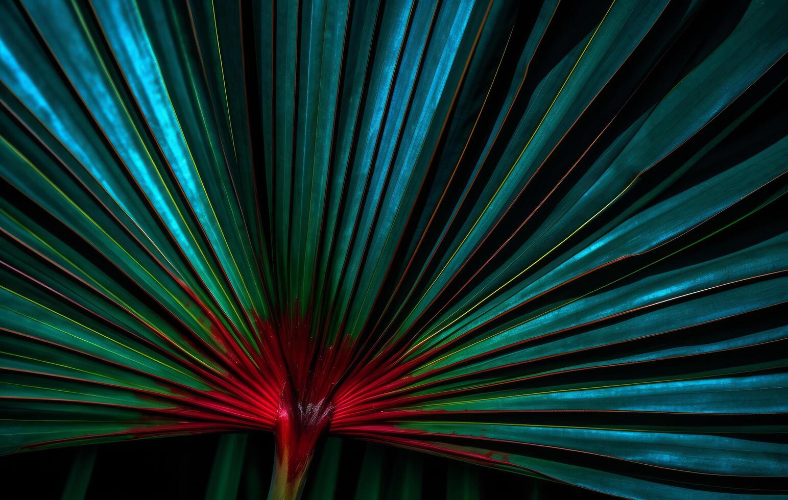 Tropical Palm Leaves Background. Illustration photo