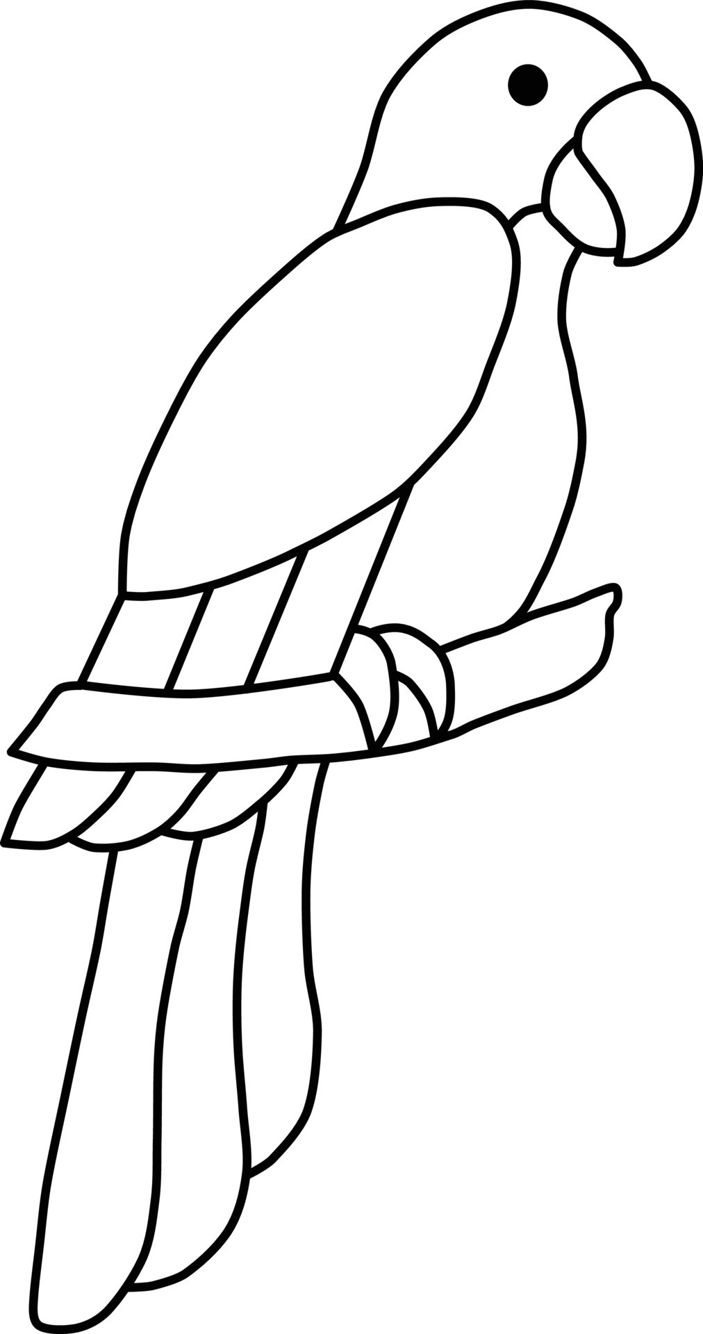 sencillo clipart estilo loro contorno icono 22780633 Vector en Vecteezy