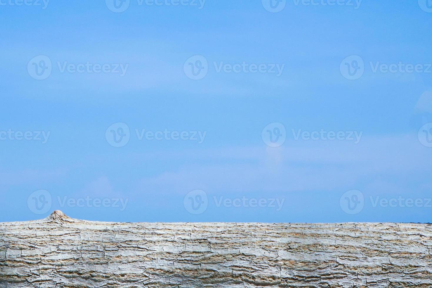 Closeup rough texture of wood isolated with blue sky background photo