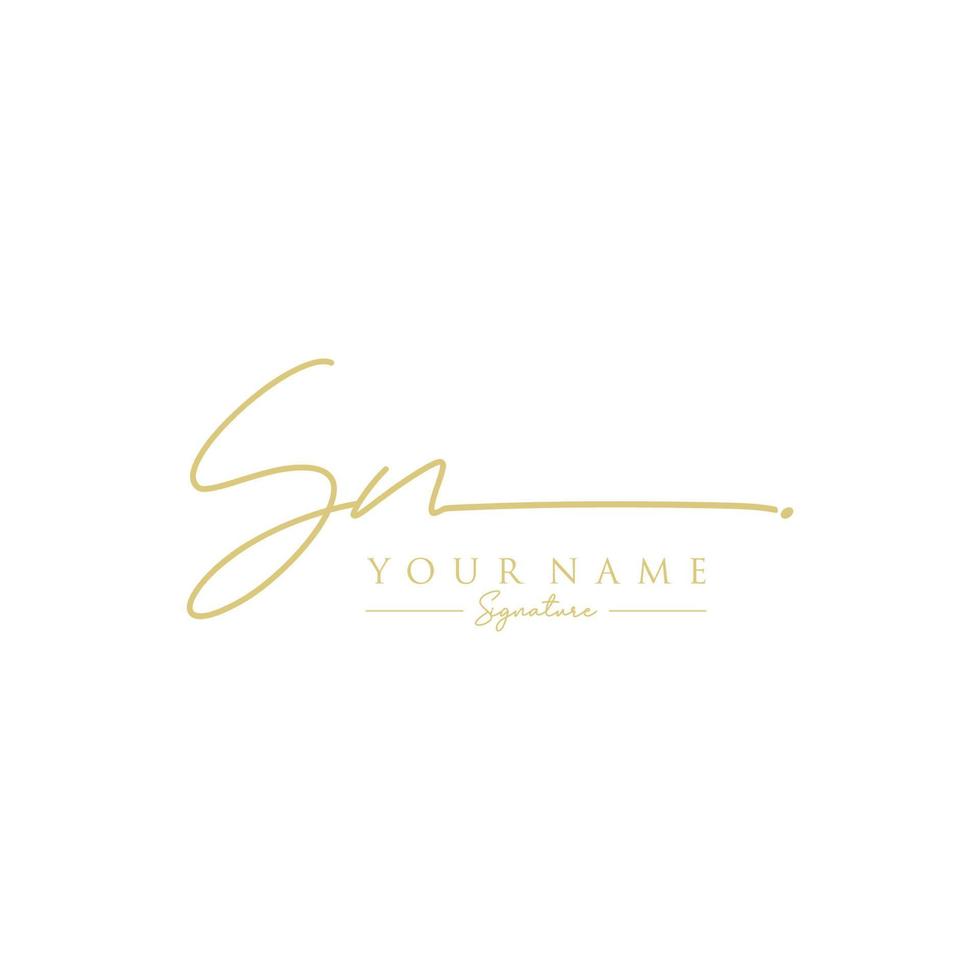 Letter SN Signature Logo Template Vector
