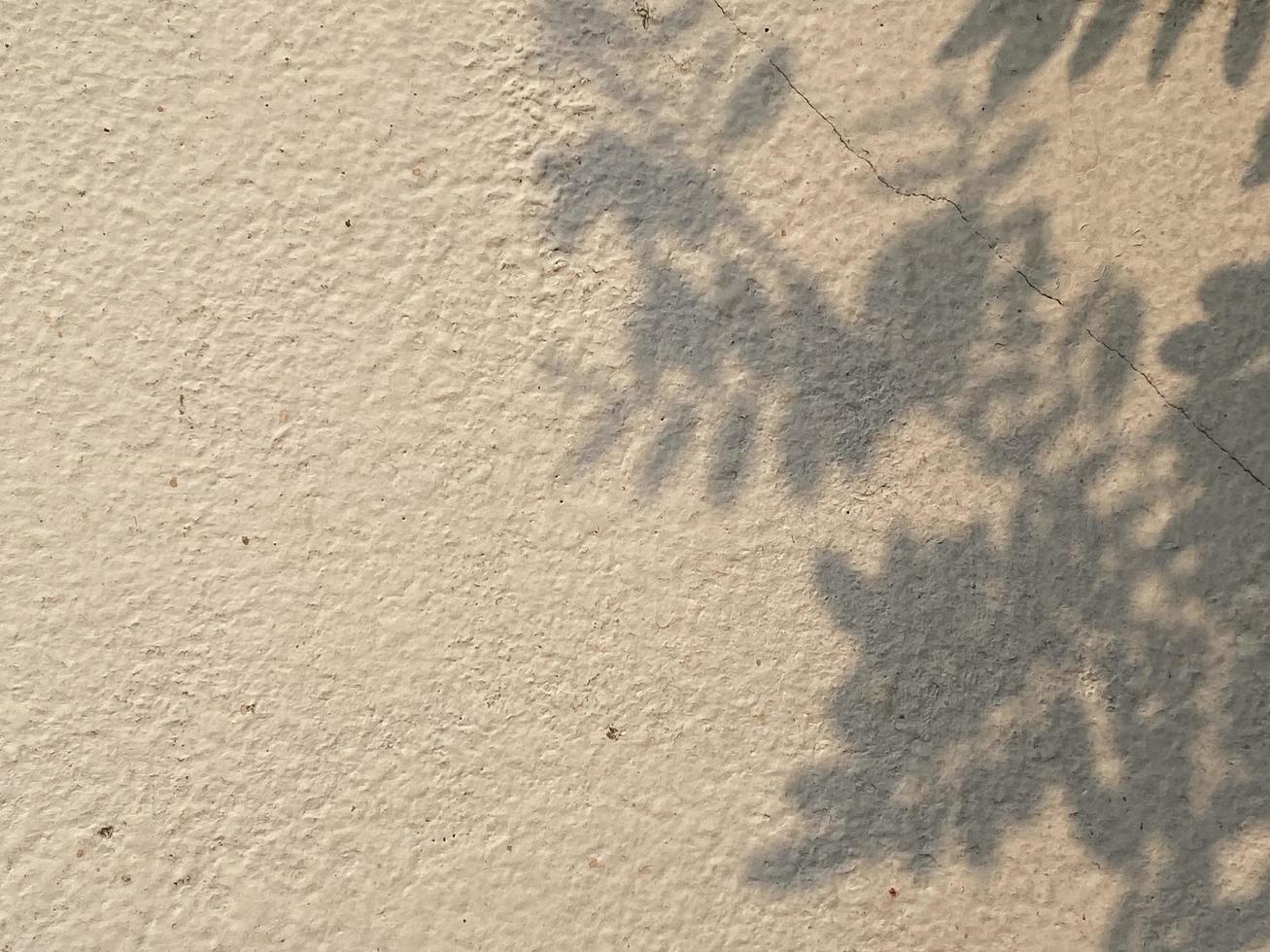 Leaves shadow background on concrete wall texture, leaves tree branches shade photo