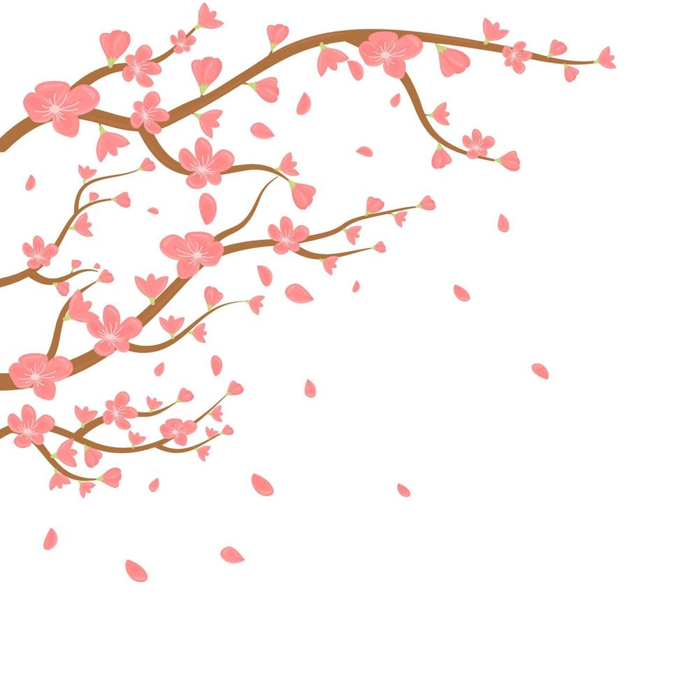 Watercolor sakura frame vector