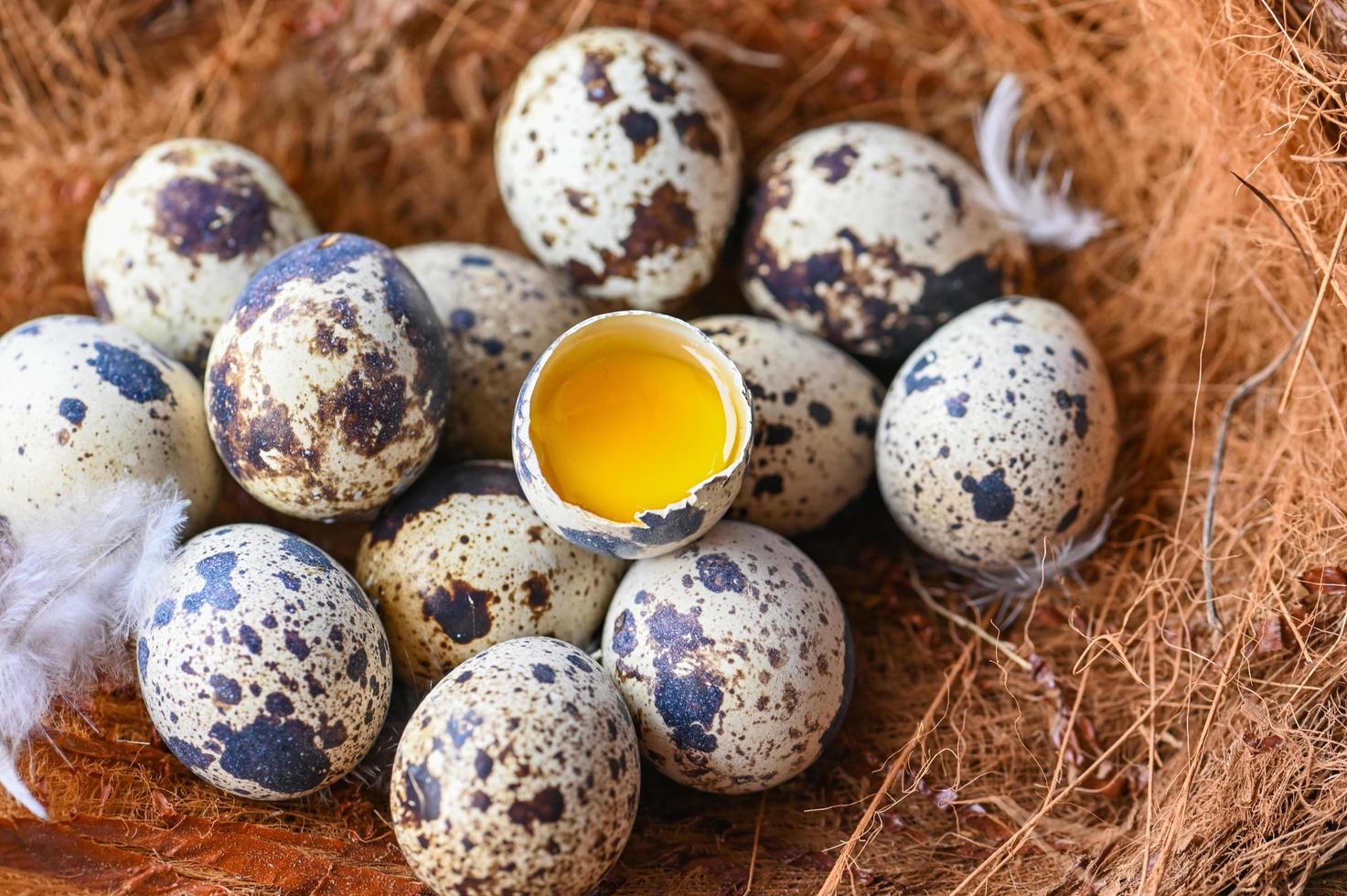 quail eggs on birds nest, fresh quail eggs and feather on wooden table background, raw eggs with peel egg shell photo