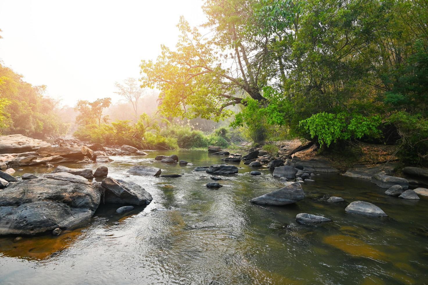 río corriente cascada en bosque paisaje, hermosa naturaleza agua corriente con rocas en el tropical bosque pequeño montaña cascada agua fluido y Roca claro agua en montaña río con árbol foto