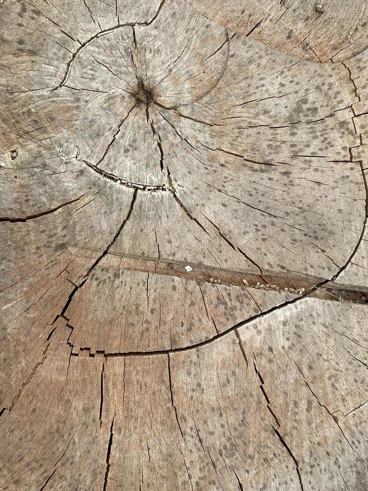 Old wood texture background photo