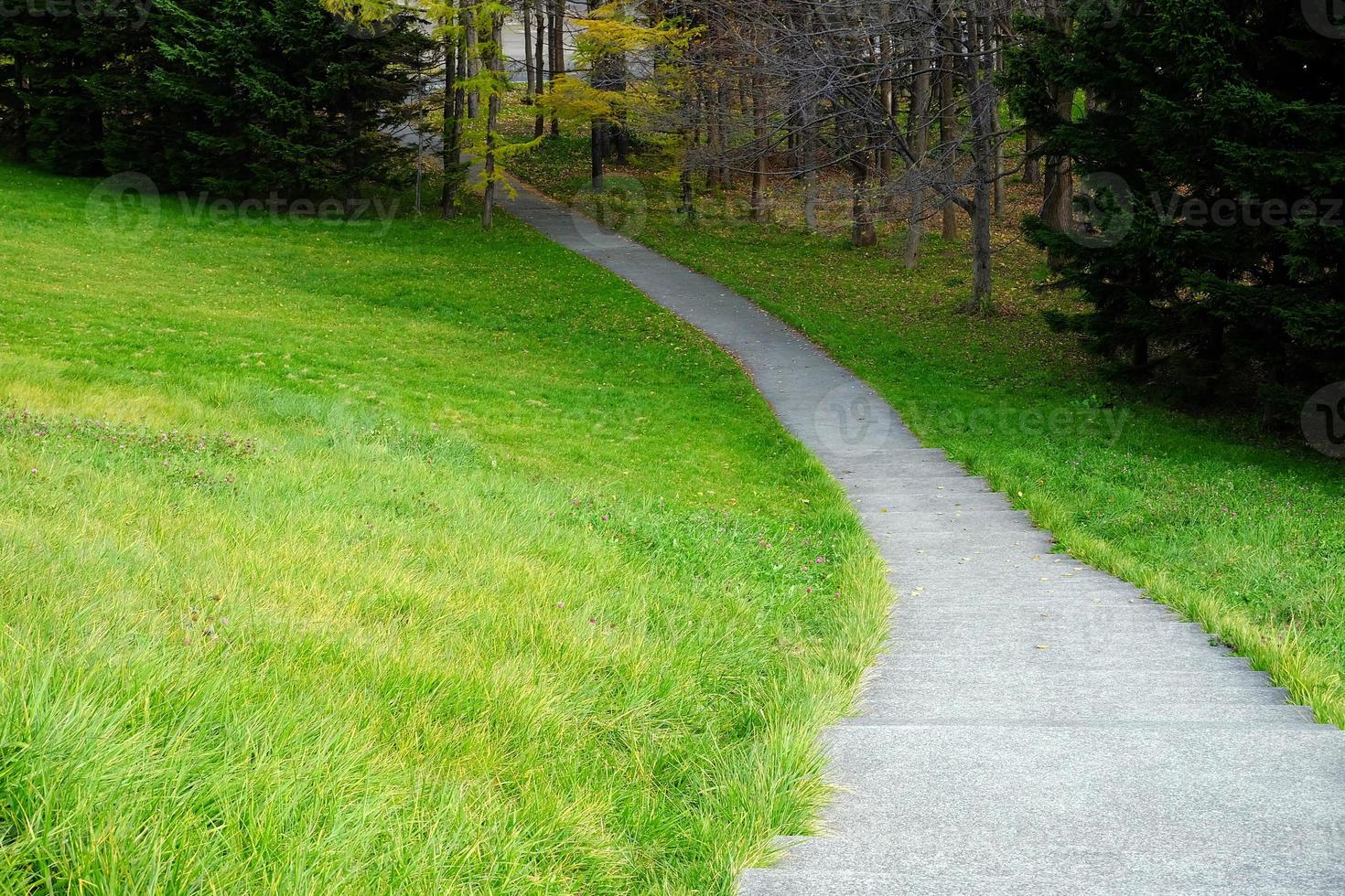 Close up Pathway in the Park. photo