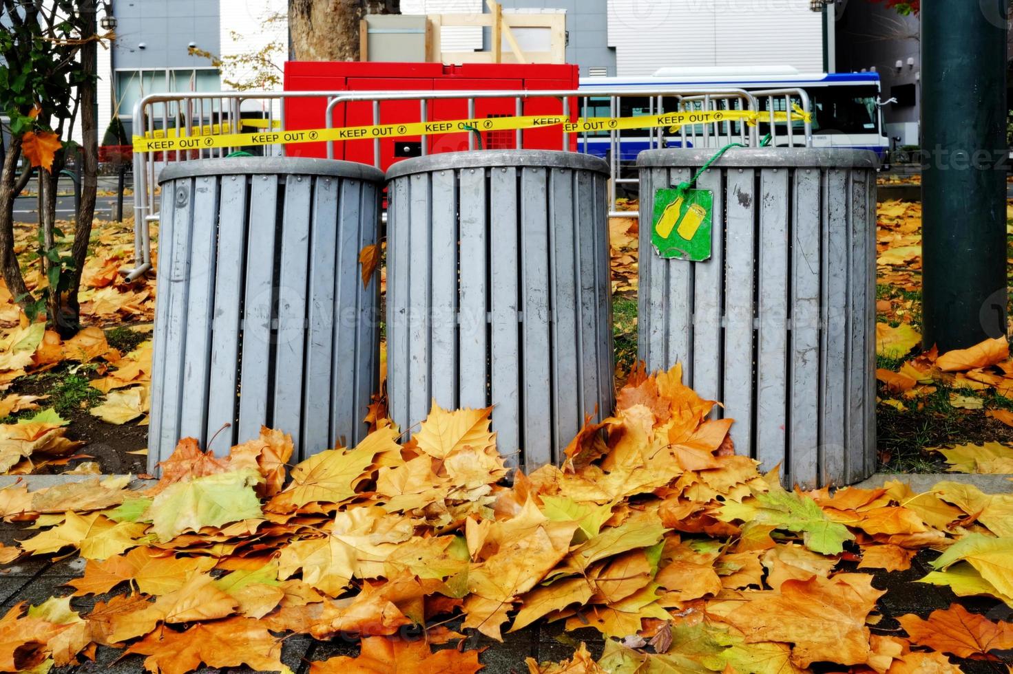 Wooden Garbage Bins in the Park with Falling Maple Leaves on the Ground. photo