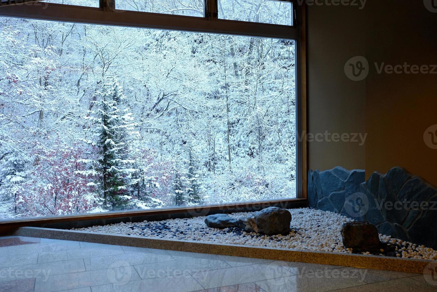 Winter Forest via the Big Window Background. photo