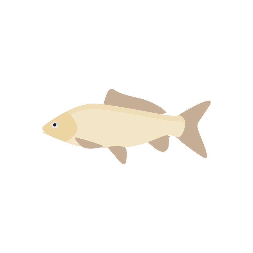 freshwater carp fish flat design vector illustration