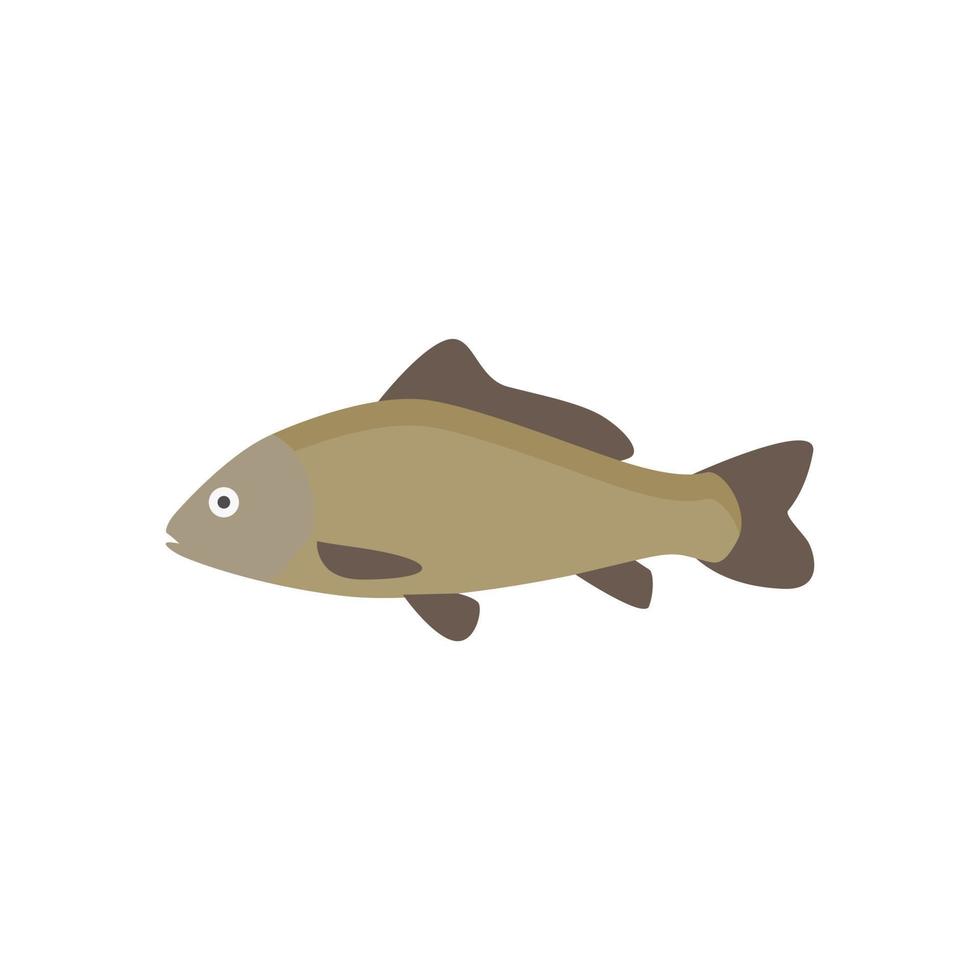 freshwater carp fish flat design vector illustration