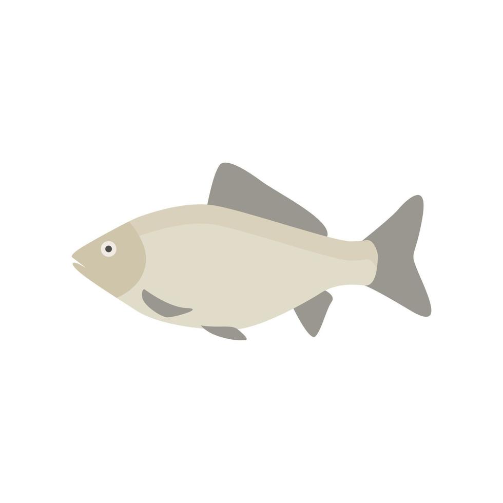 freshwater carp fish flat design vector illustration