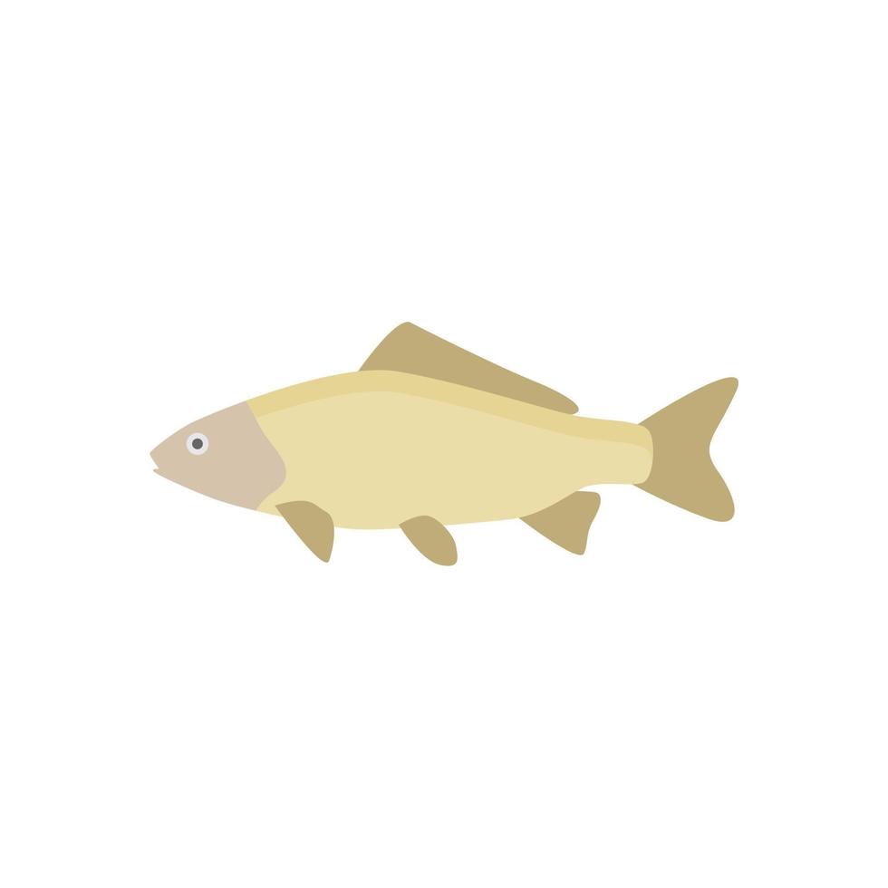 freshwater carp fish flat design vector illustration