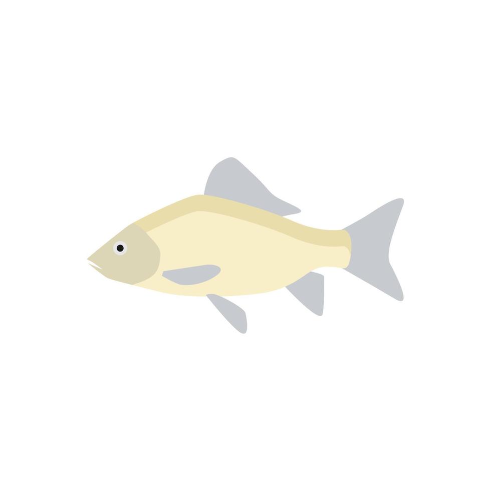 freshwater carp fish flat design vector illustration