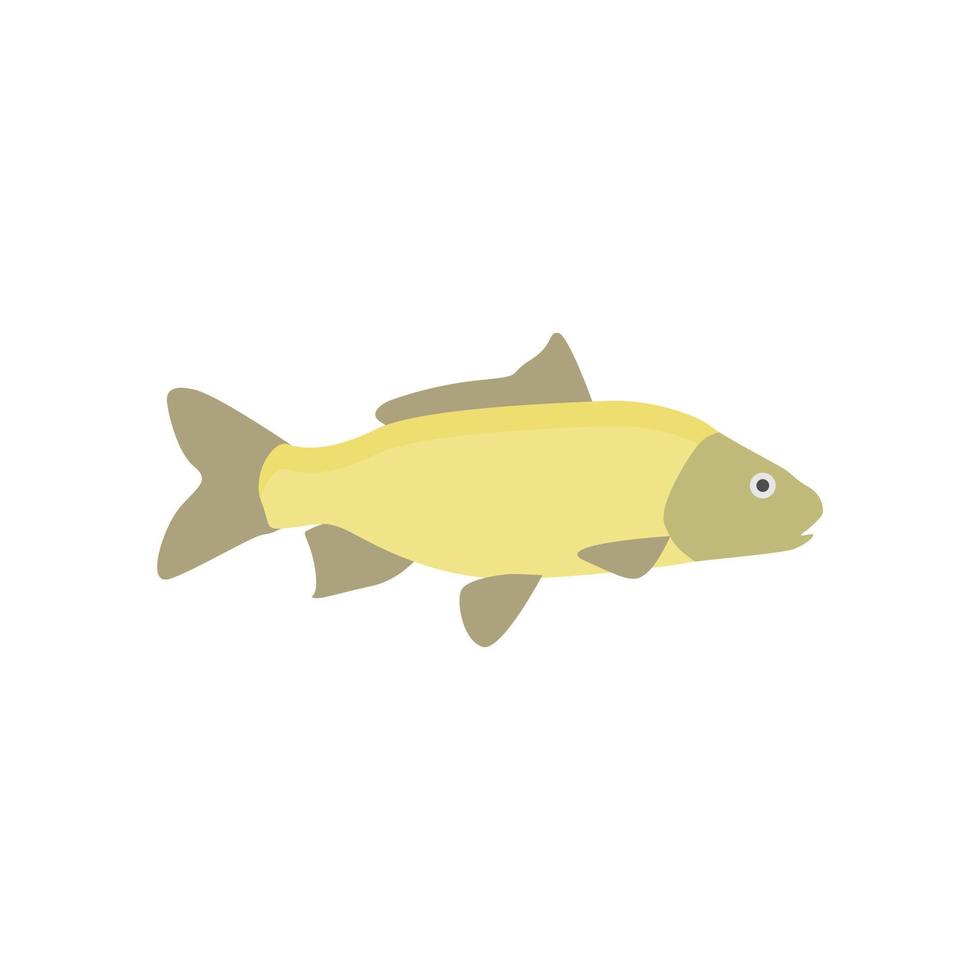 freshwater carp fish flat design vector illustration