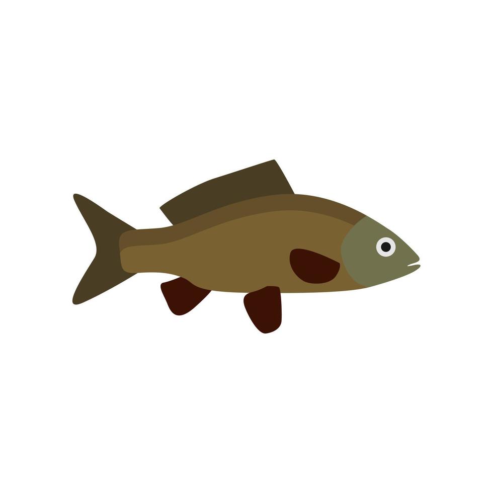 freshwater carp fish flat design vector illustration