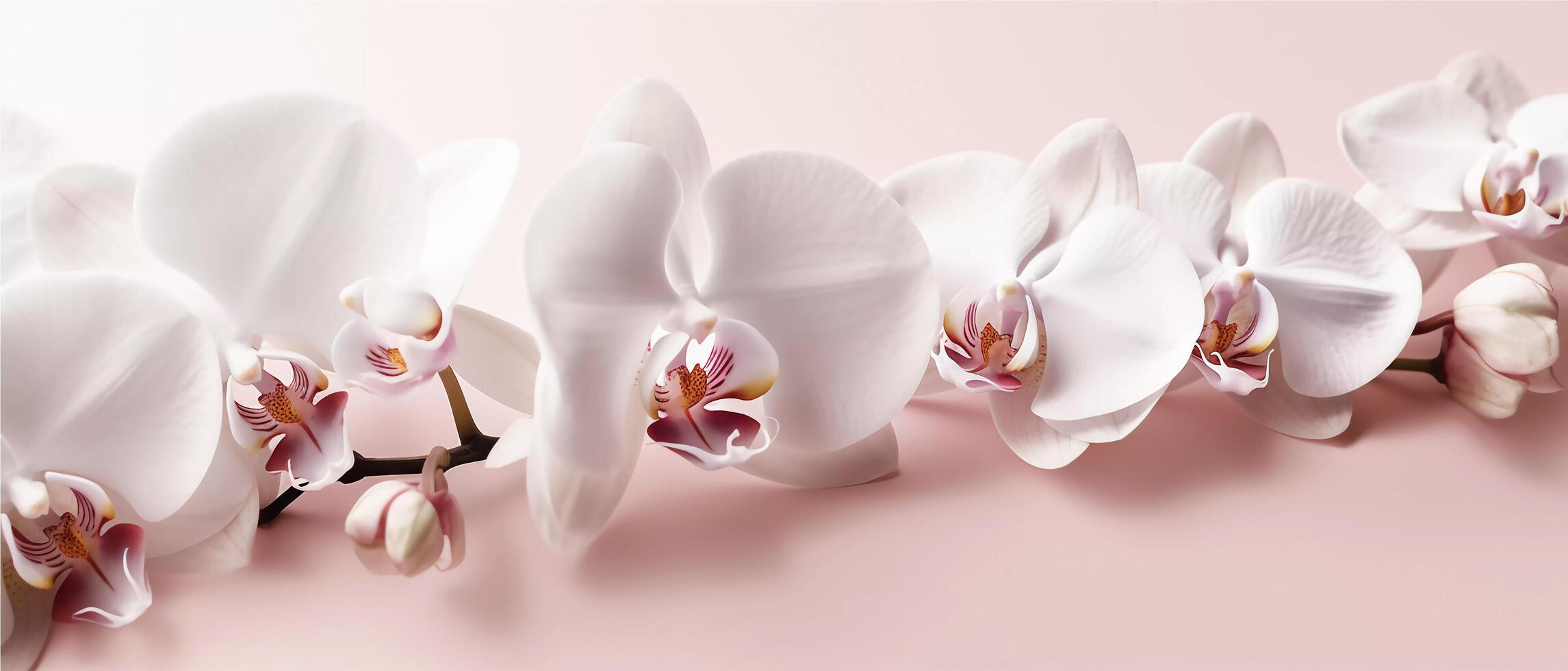 elegante orquídea marco, delicado orquídeas graciosamente adornando dos rincones de un vacío blanco papel para texto, conjunto en contra un pastel rosado antecedentes ai generado foto