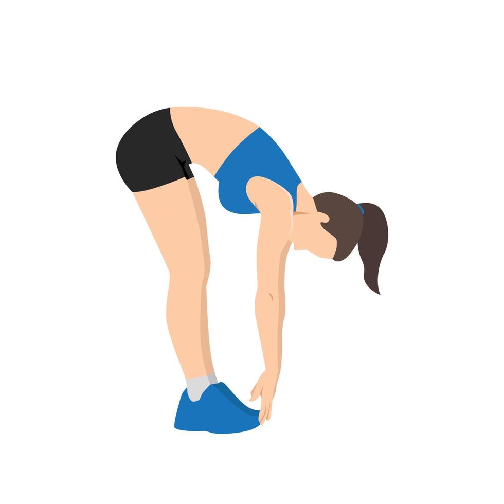 Woman doing Ragdoll. Forward bend. Fold stretch exercise. vector