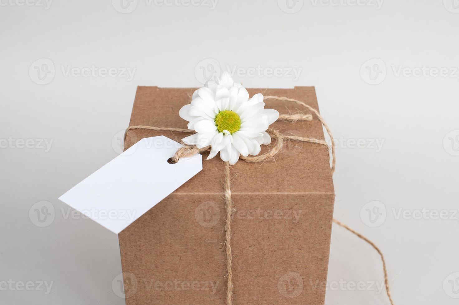 Kraft box with empty label, gift package, living flower, white cardboard label with thin rope cord photo
