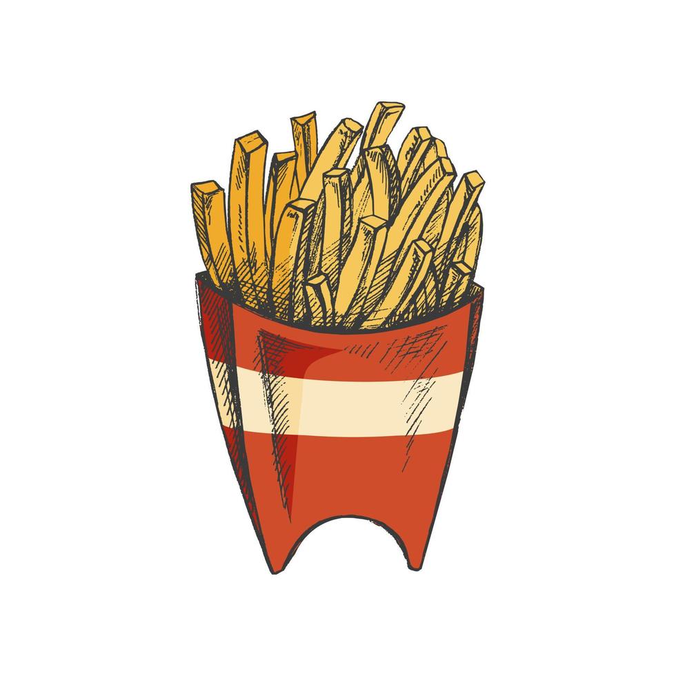 Hand-drawn colored sketch set of  french fries in a box  isolated on white background. Fast food illustration. Vintage drawing. Great for menu, poster or restaurant background. vector