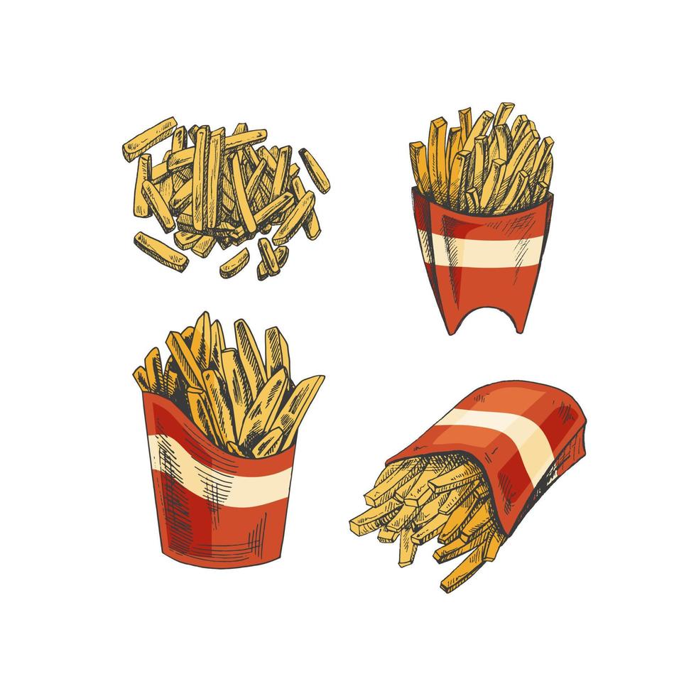 Hand-drawn colored sketch set of  french fries in a box  isolated on white background. Fast food illustration. Vintage drawing. Great for menu, poster or restaurant background. vector