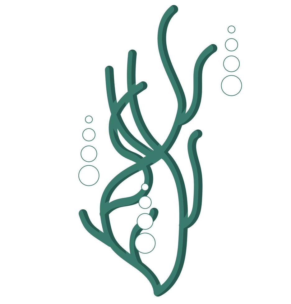 Seaweed icon. Symbol, logo for your design in cartoon style. Vector illustration isolated on white background.