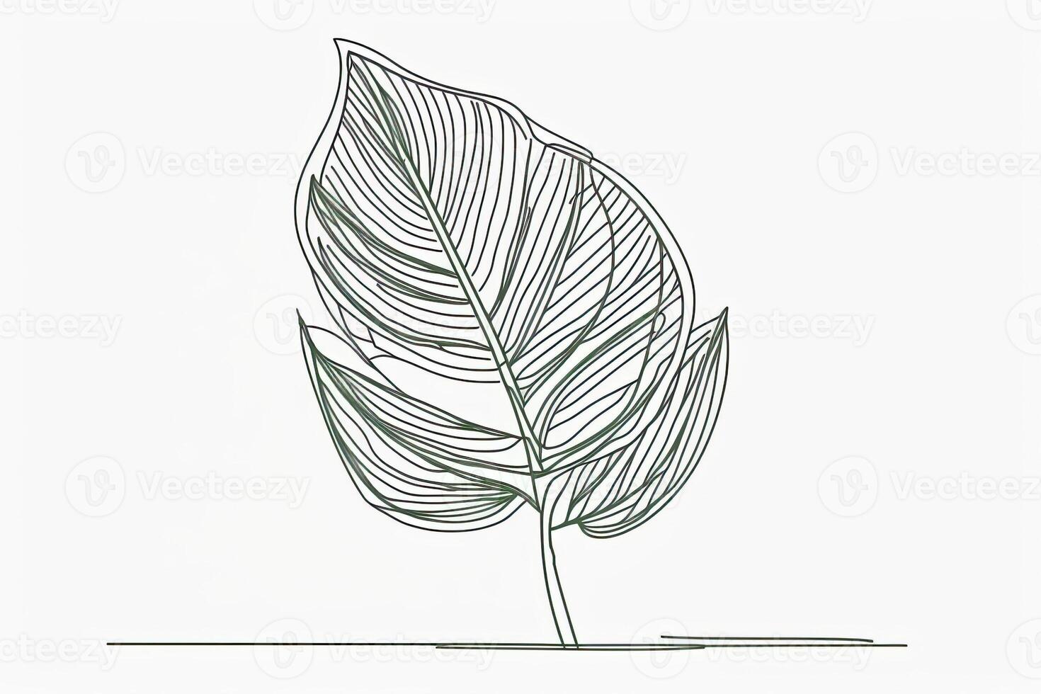 A continuous line of a simple illustration of a plant leaf. . Abstract template of modern botanical design for minimalistic covers, prints on T-shirts, postcards, banners. photo