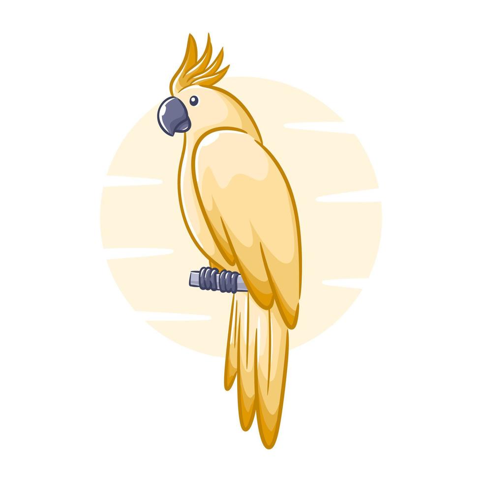 Vector hand drawn parrots cartoon character