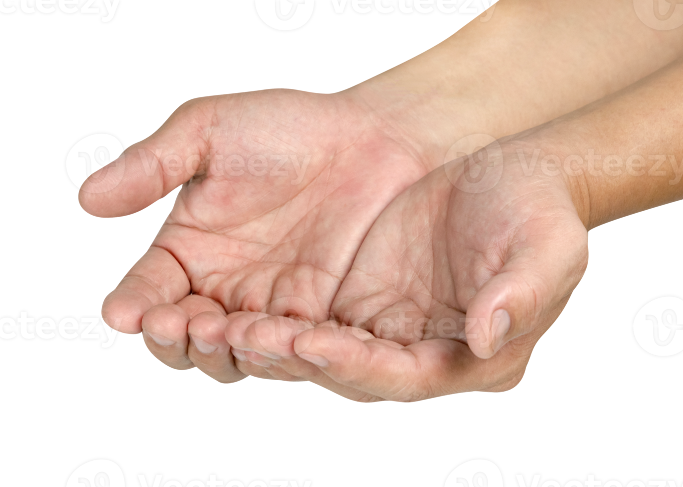 zwei öffnen das Palme von das Hand isoliert png