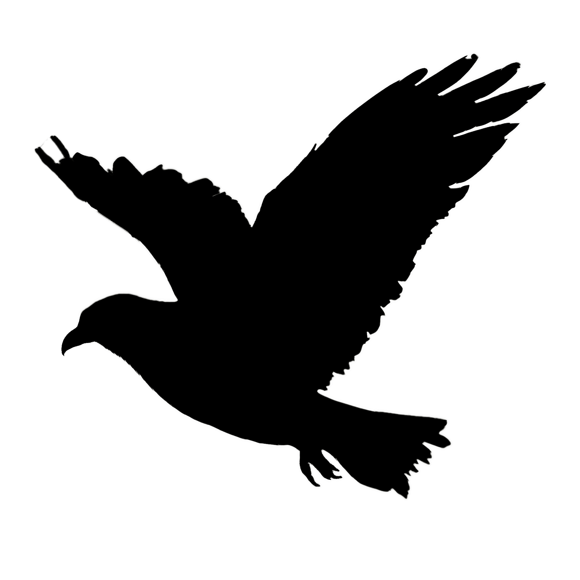 transparant zwart vogel stijgend een verbijsterend silhouet beeld van
