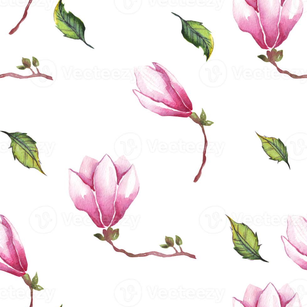 Watercolor magnolia. Seamless pattern png