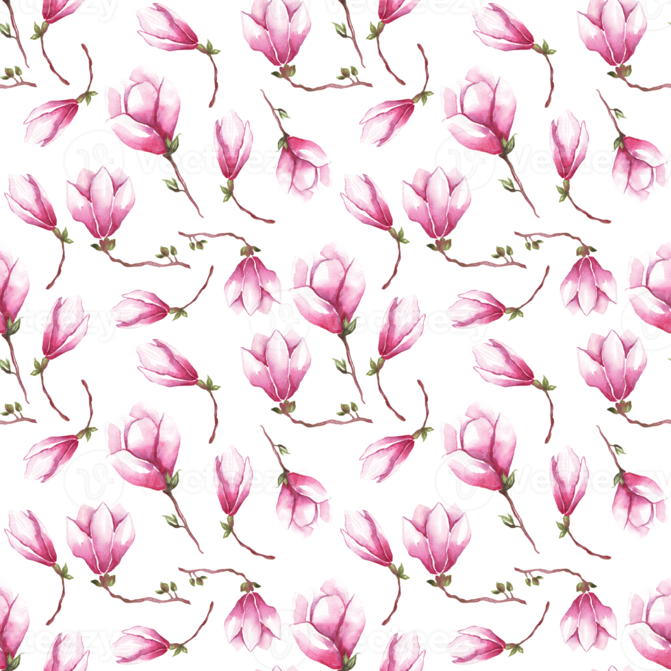 Watercolor magnolia. Seamless pattern png