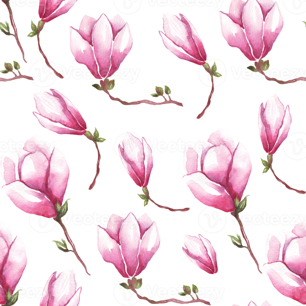 Watercolor magnolia. Seamless pattern png