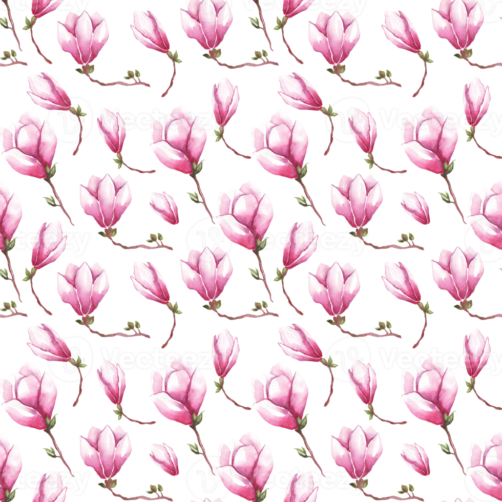 Watercolor magnolia. Seamless pattern png