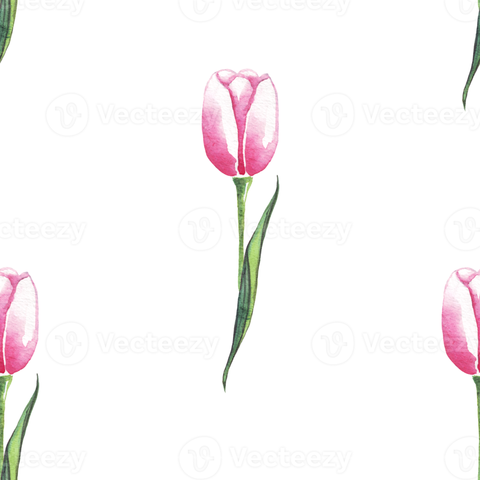Watercolor tulips. Seamless pattern png