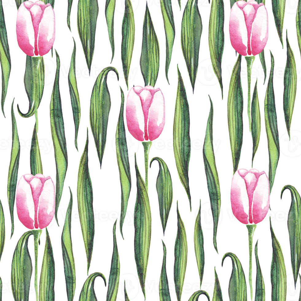 Watercolor tulips. Seamless pattern png