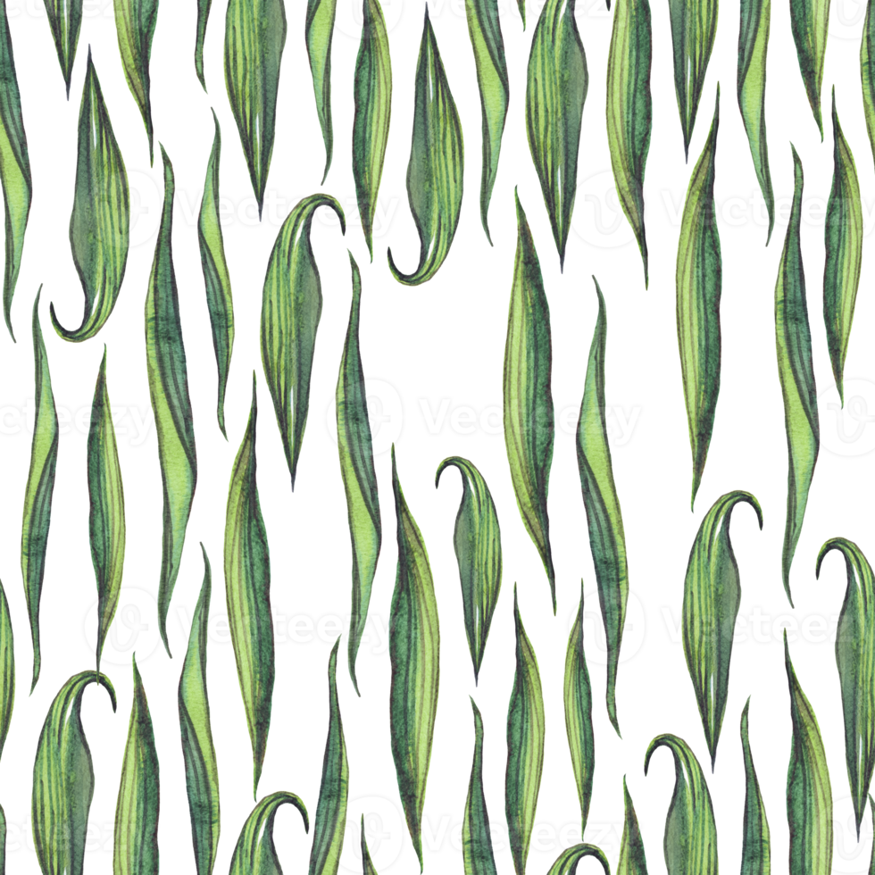 acquerello le foglie. senza soluzione di continuità modello png