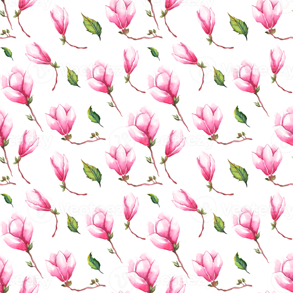 acuarela magnolia. sin costura modelo png