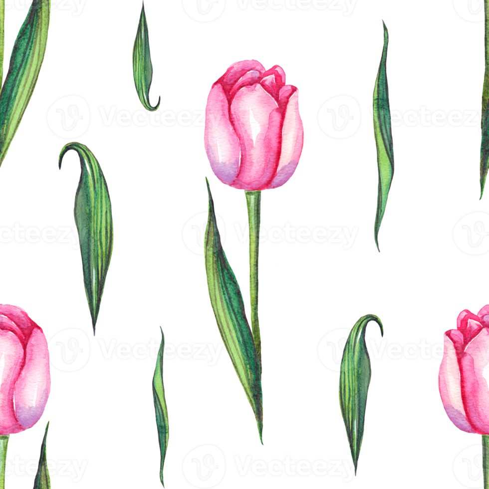 Watercolor tulips. Seamless pattern png