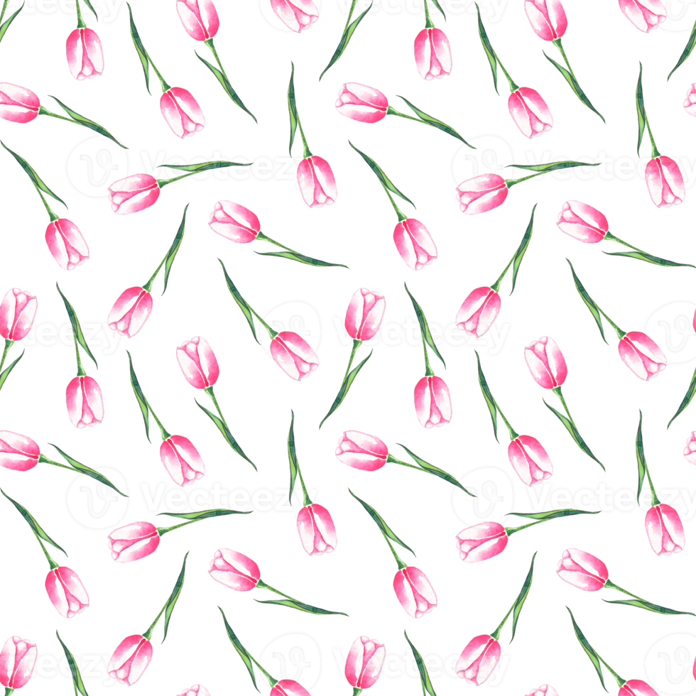 Watercolor tulips. Seamless pattern png