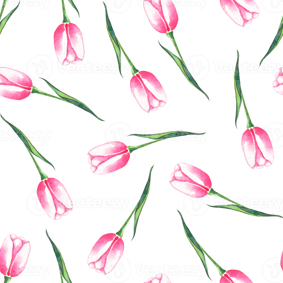Watercolor tulips. Seamless pattern png