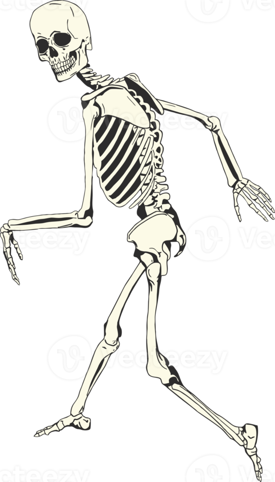 Skeleton posing as a Sasquatch. png