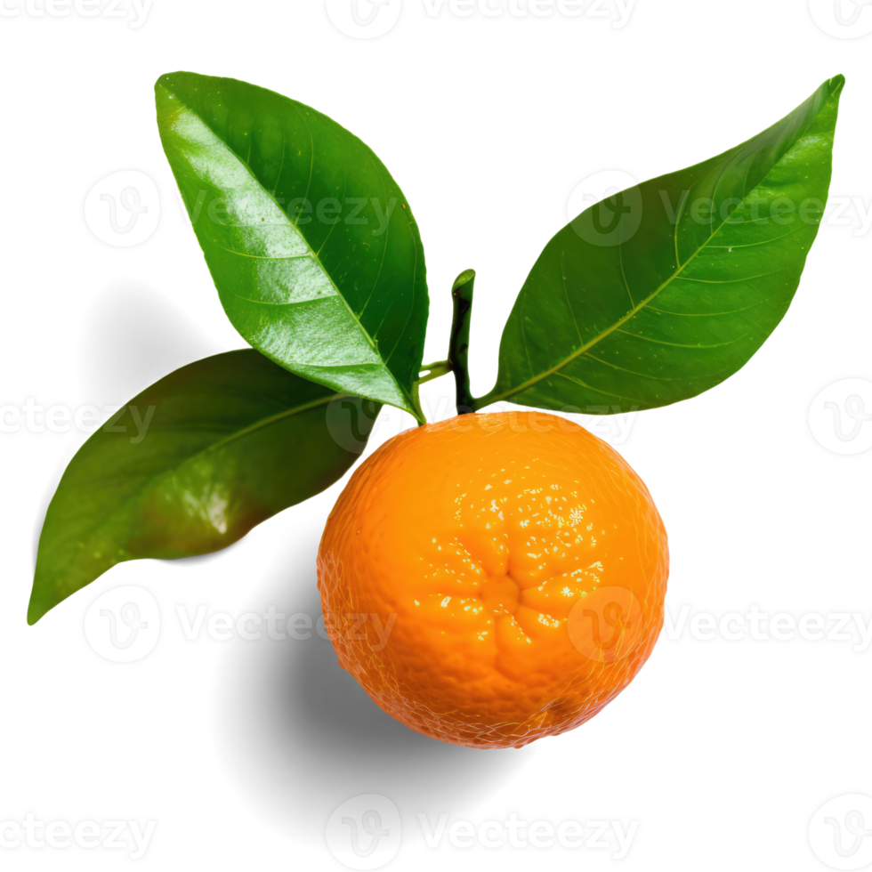 Orange Fruit with Leaves Transparent Background png