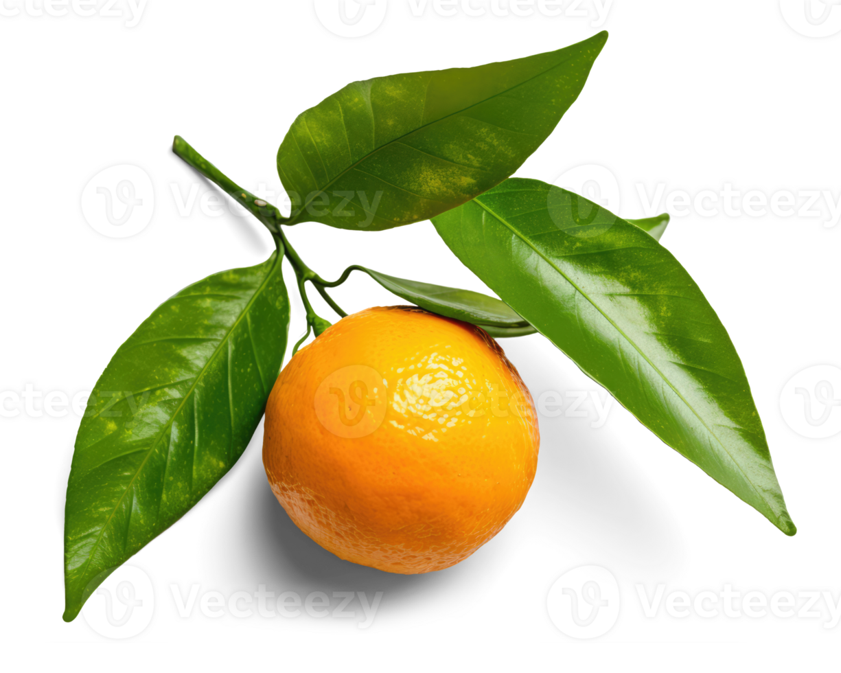 laranja fruta com folhas transparente fundo generativo ai png