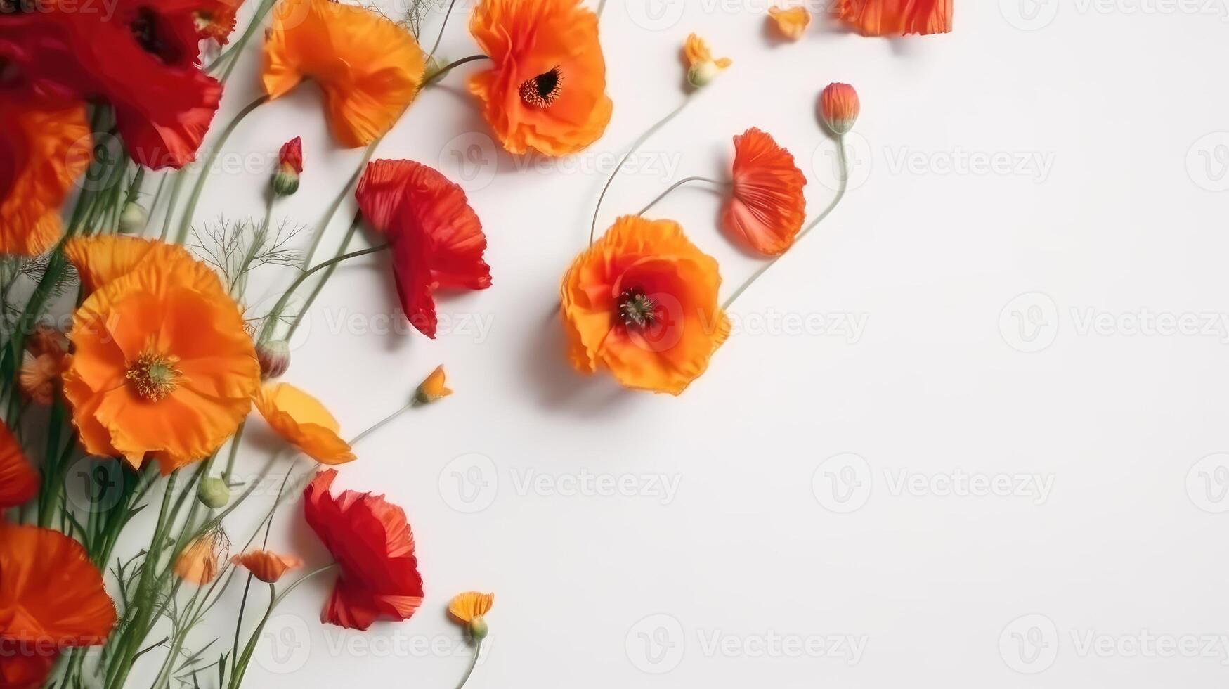 Flower composition. Red poppy flowers on white marble background. Flat lay. Top view. Wedding background. Festive concept. .Created with photo