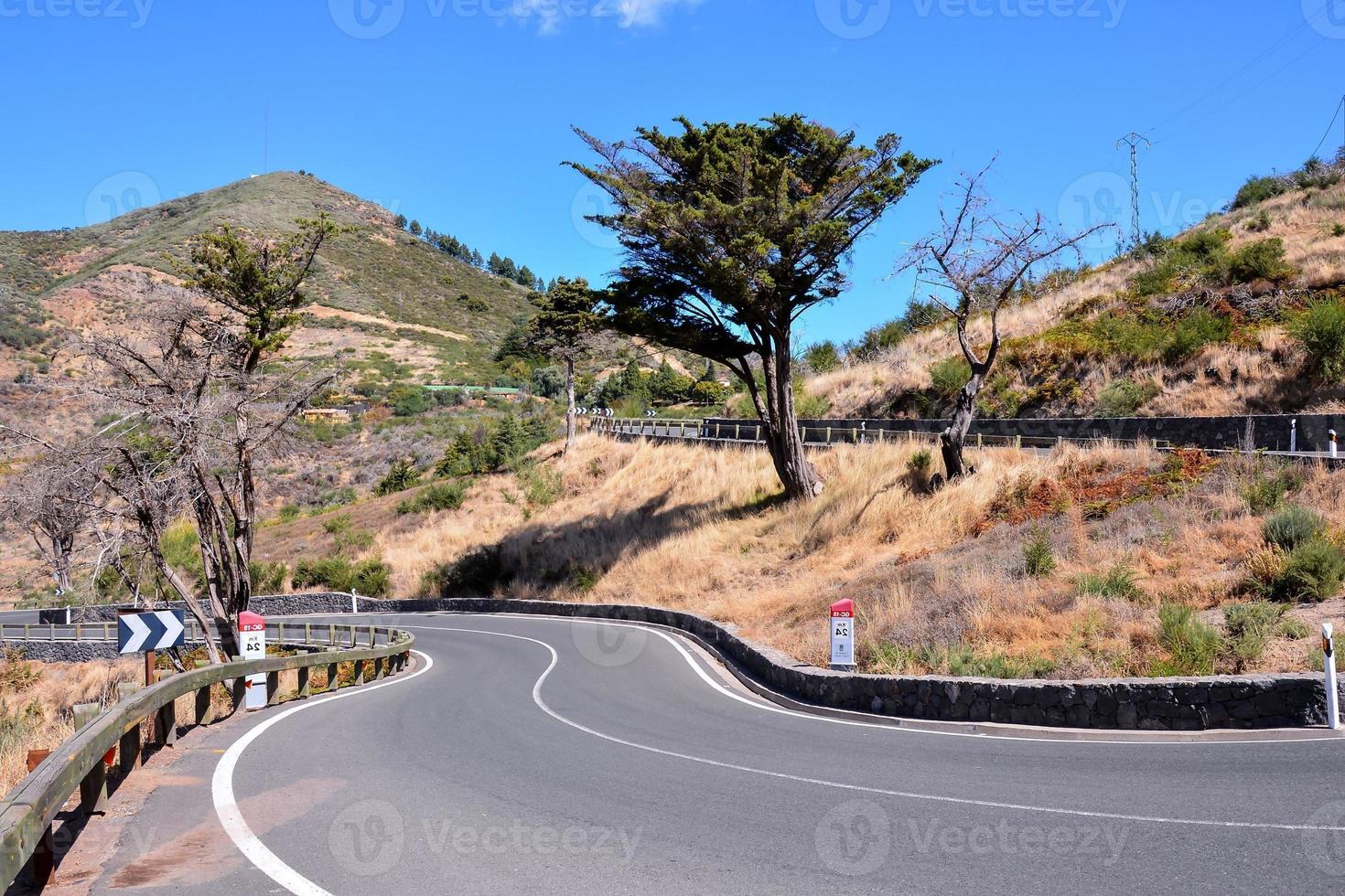 Scenic road view photo