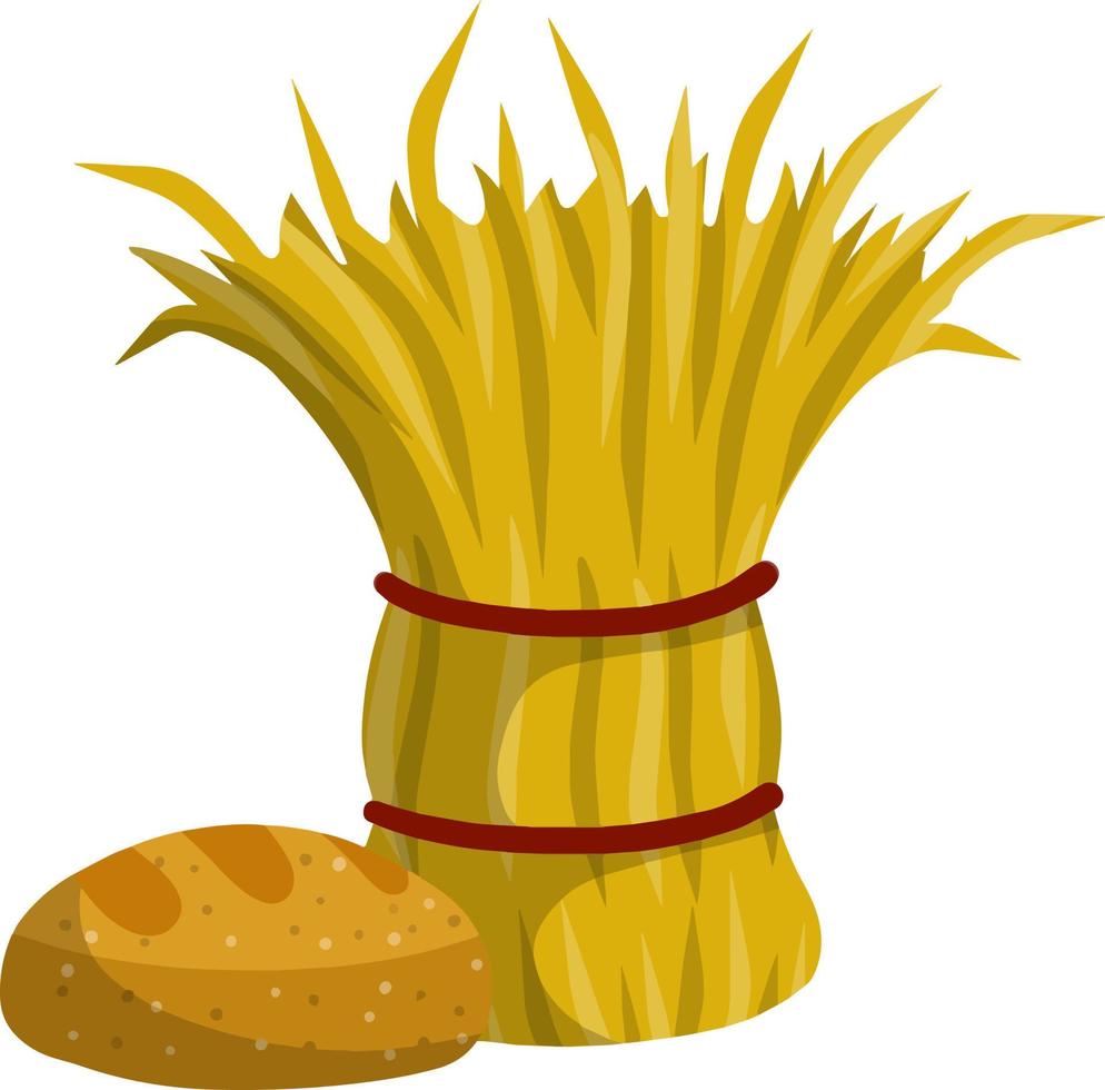 Sheaf of hay. Countryside Stack of wheat ears. Village harvest. Production of natural food on farm. Rustic bread. vector